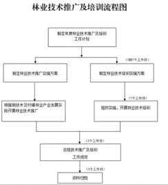 創新林業技術推廣培訓，助力林業現代化發展